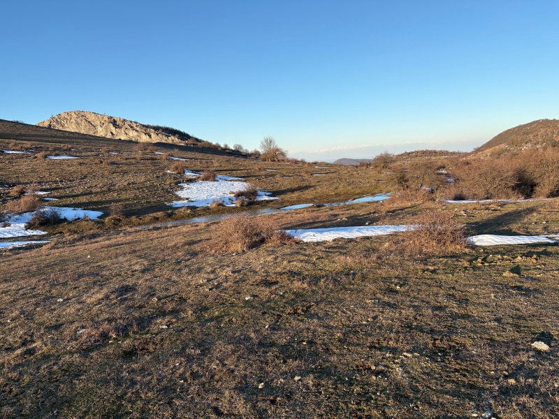 лобно място Калушев