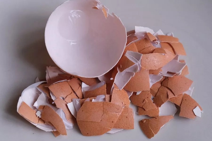 яйчени черупки