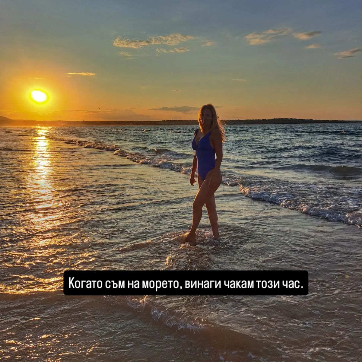 Николета залез
