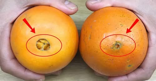 портокал съвет