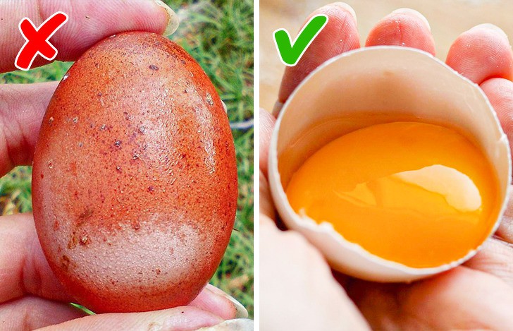 черупка и яйце