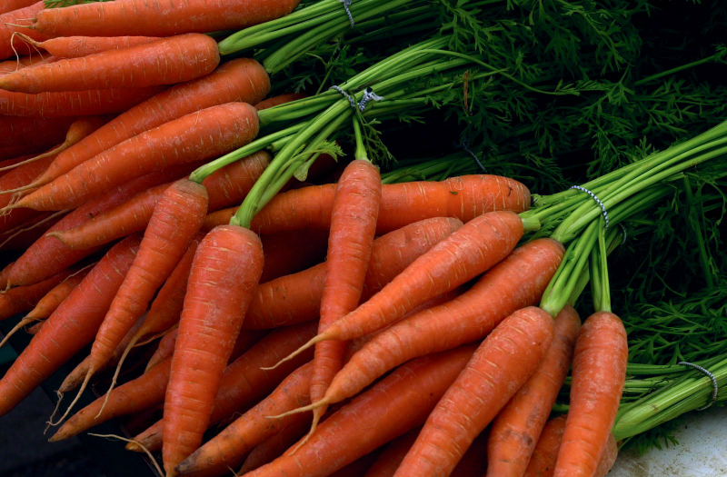 Отслабване моркови