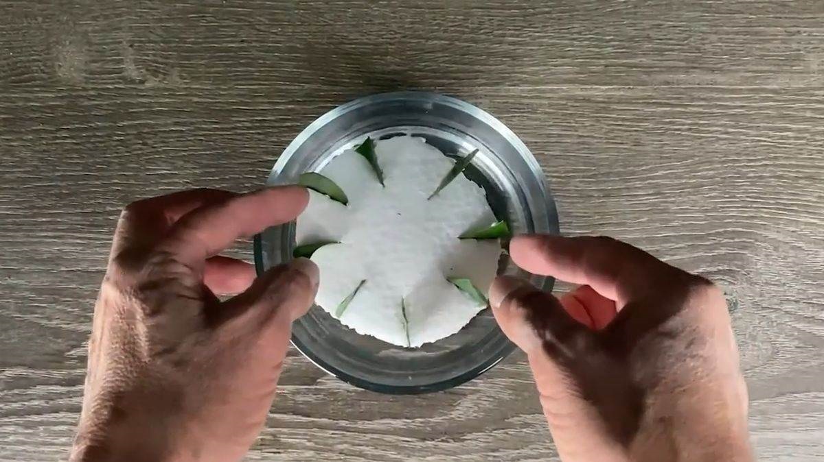 размножаване във вода