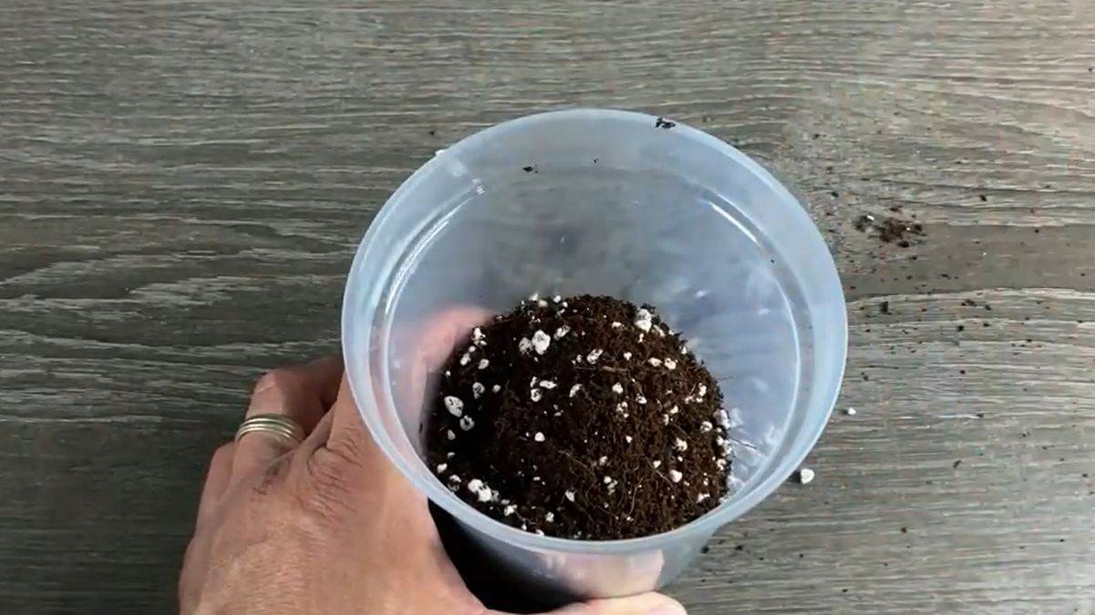 смес за пресаждане