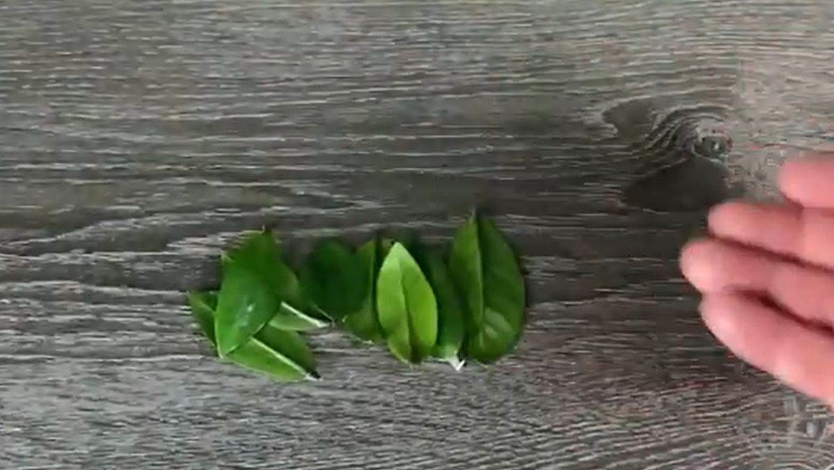 отрязани листа