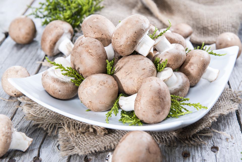 консумация гъби