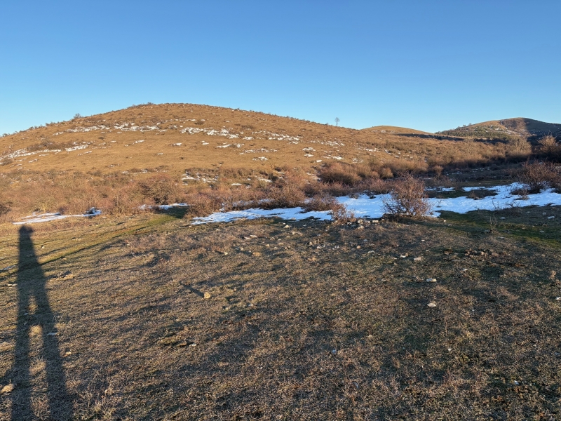 Околчица смърт Калушев