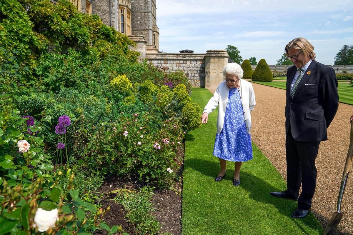 кралица Елизабет розова градина