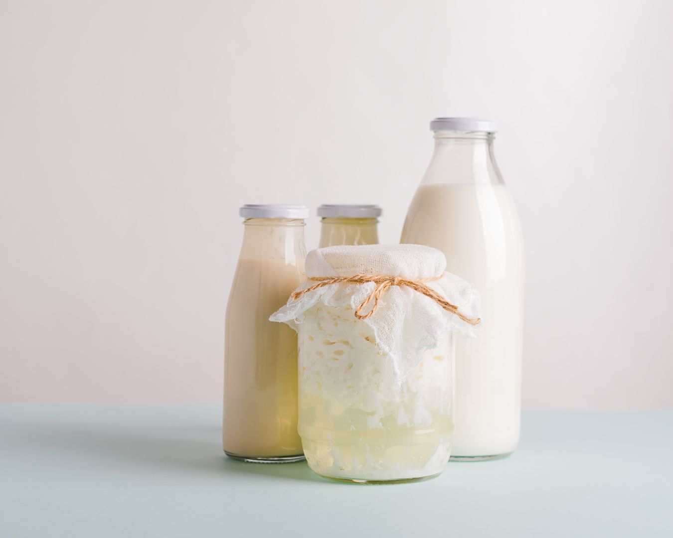 ферментация мляко