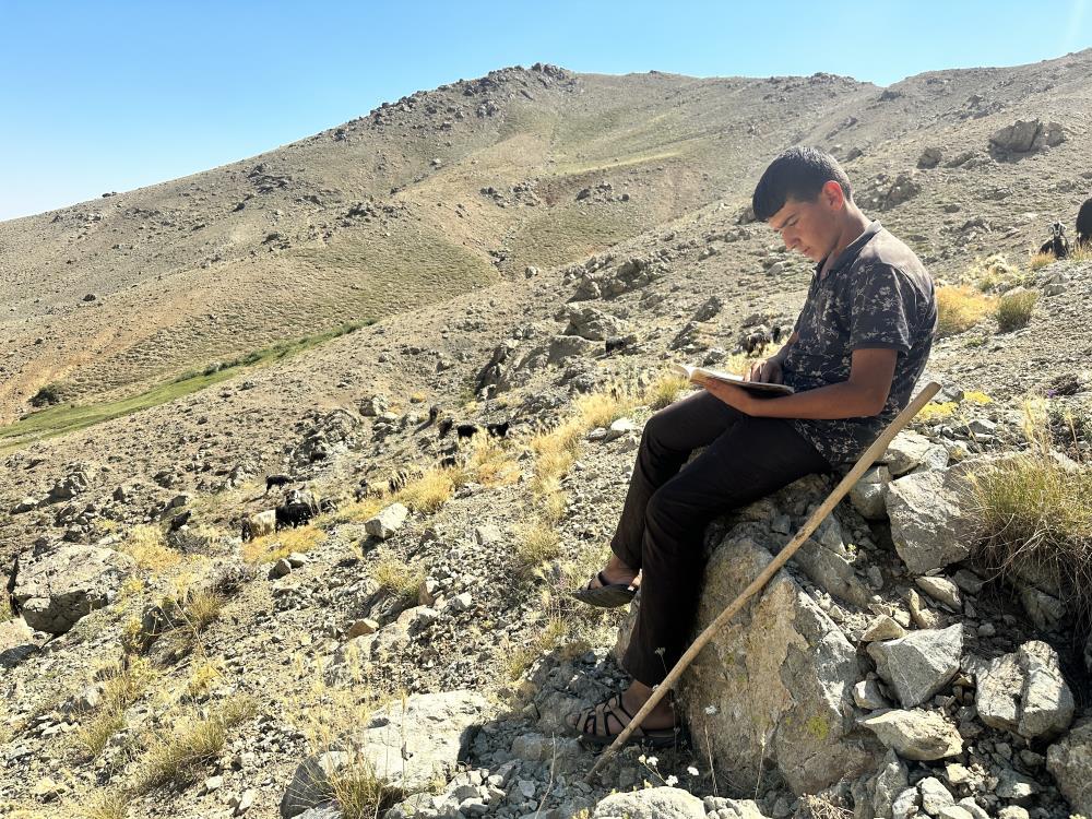  овчарче чете 