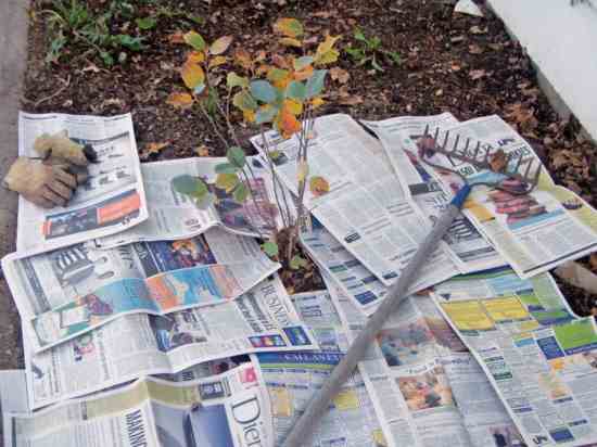 мокри вестници в градината