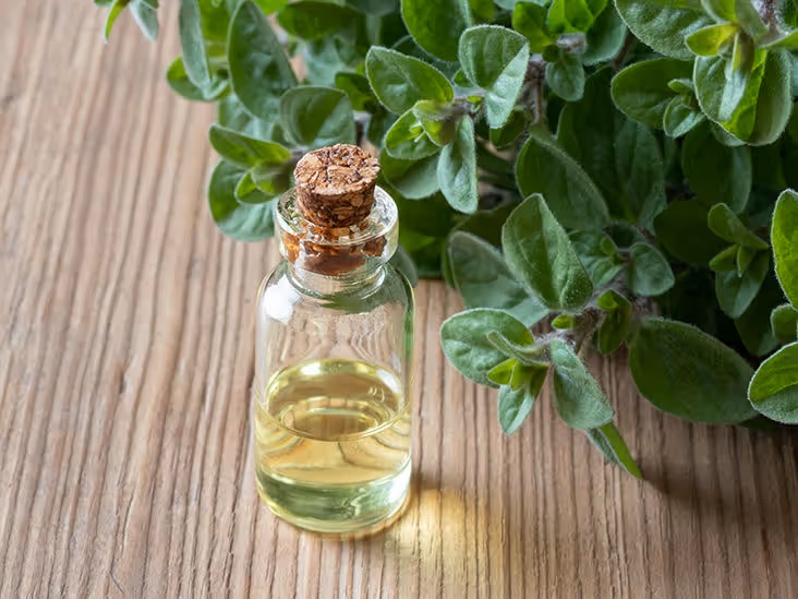 oregano oil