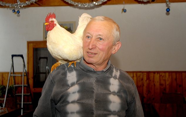 бай Фидос