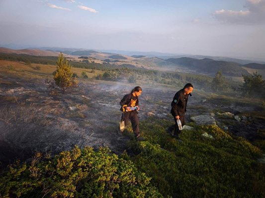 Иво Александър