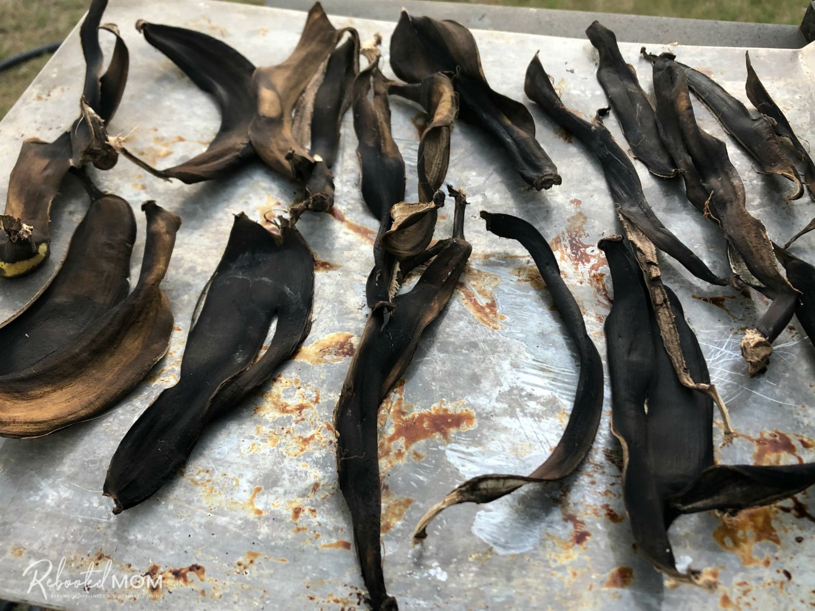 сушена бананова кора