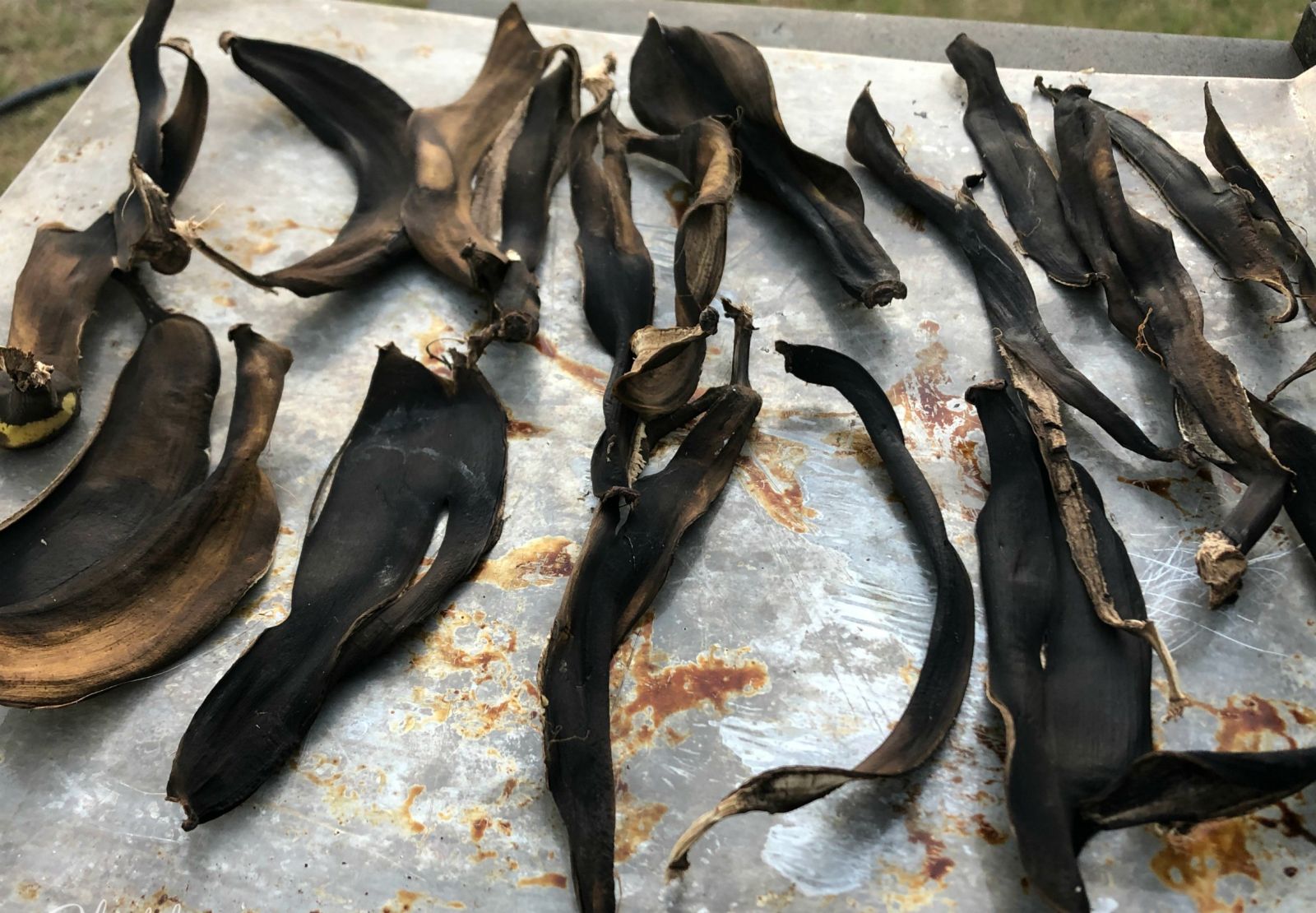 сушени бананови кори