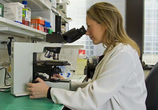 лаборантка