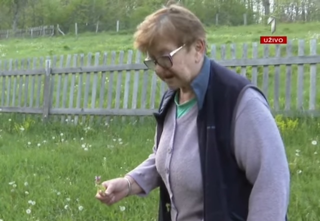 Милица