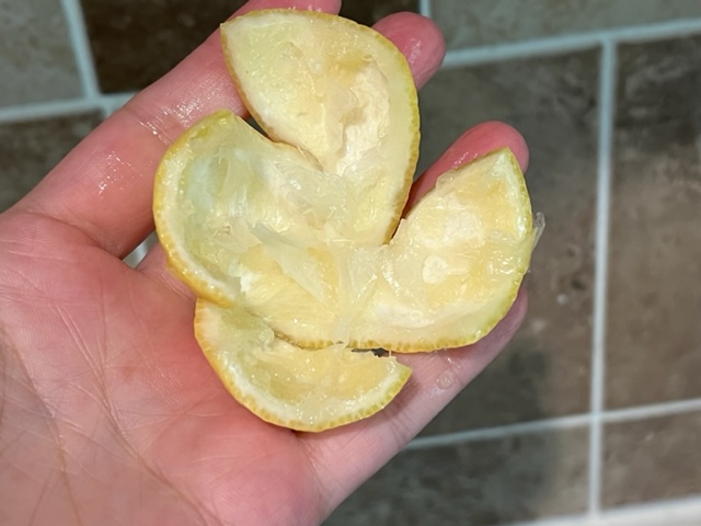обелка от лимон