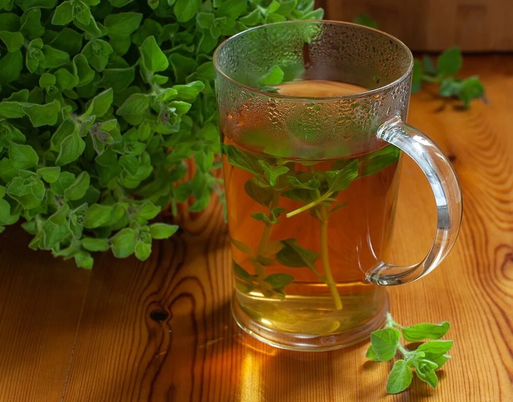 oregano tea remedy