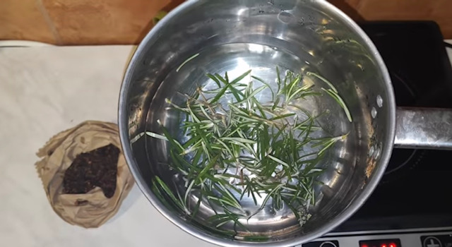 розмарин във вода