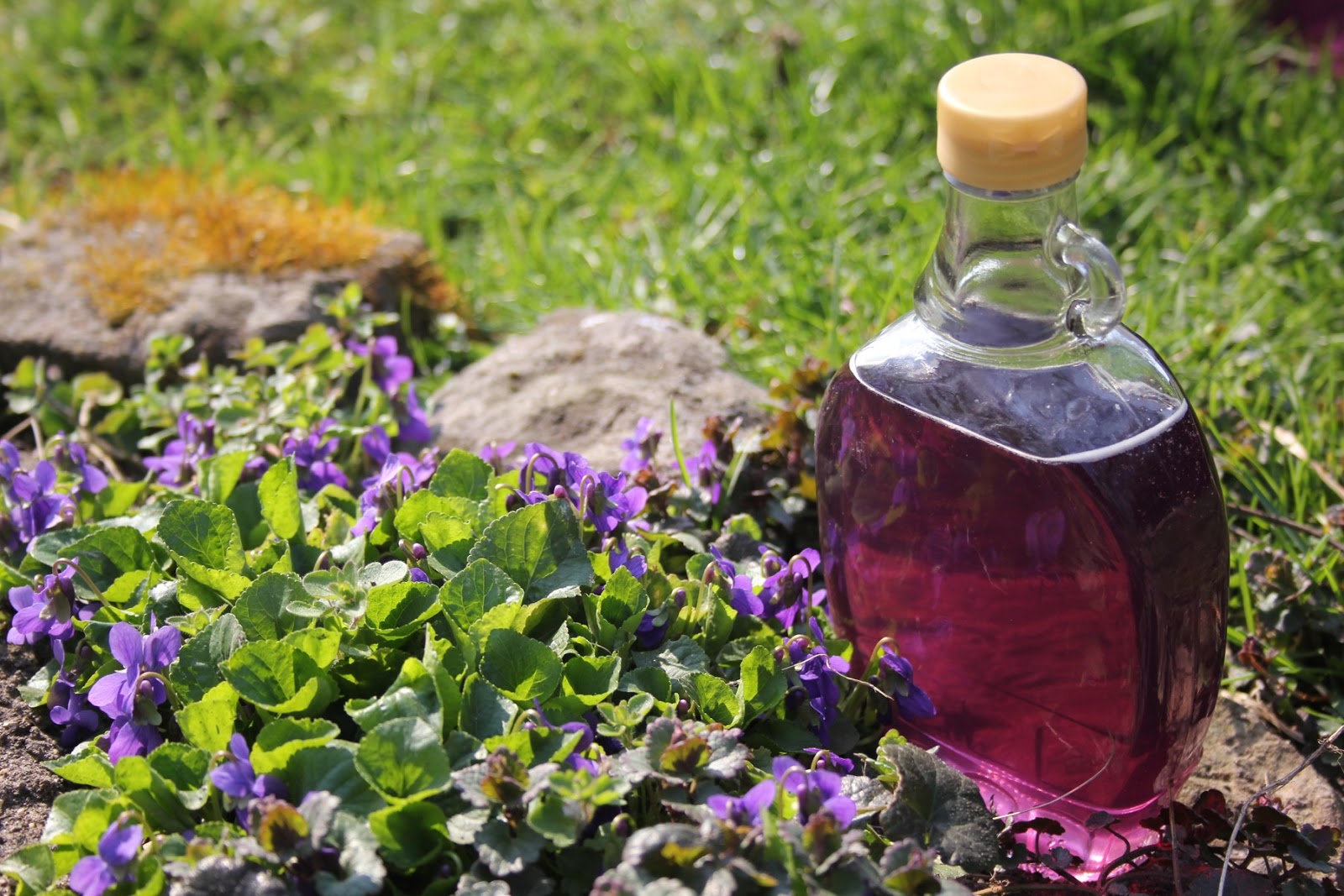 горски теменужки сироп