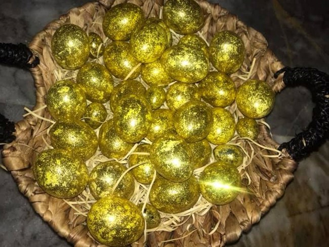 златните яйца на Илиана Раева
