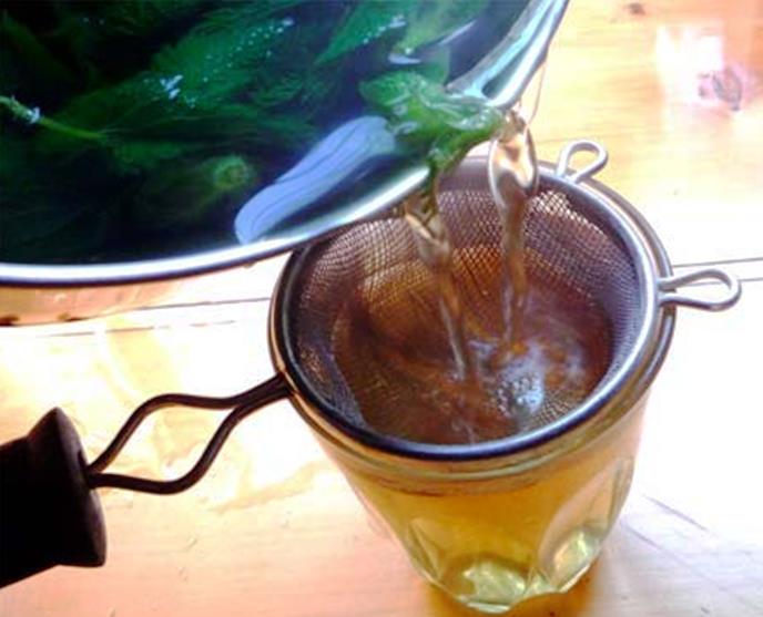 отвара от коприва