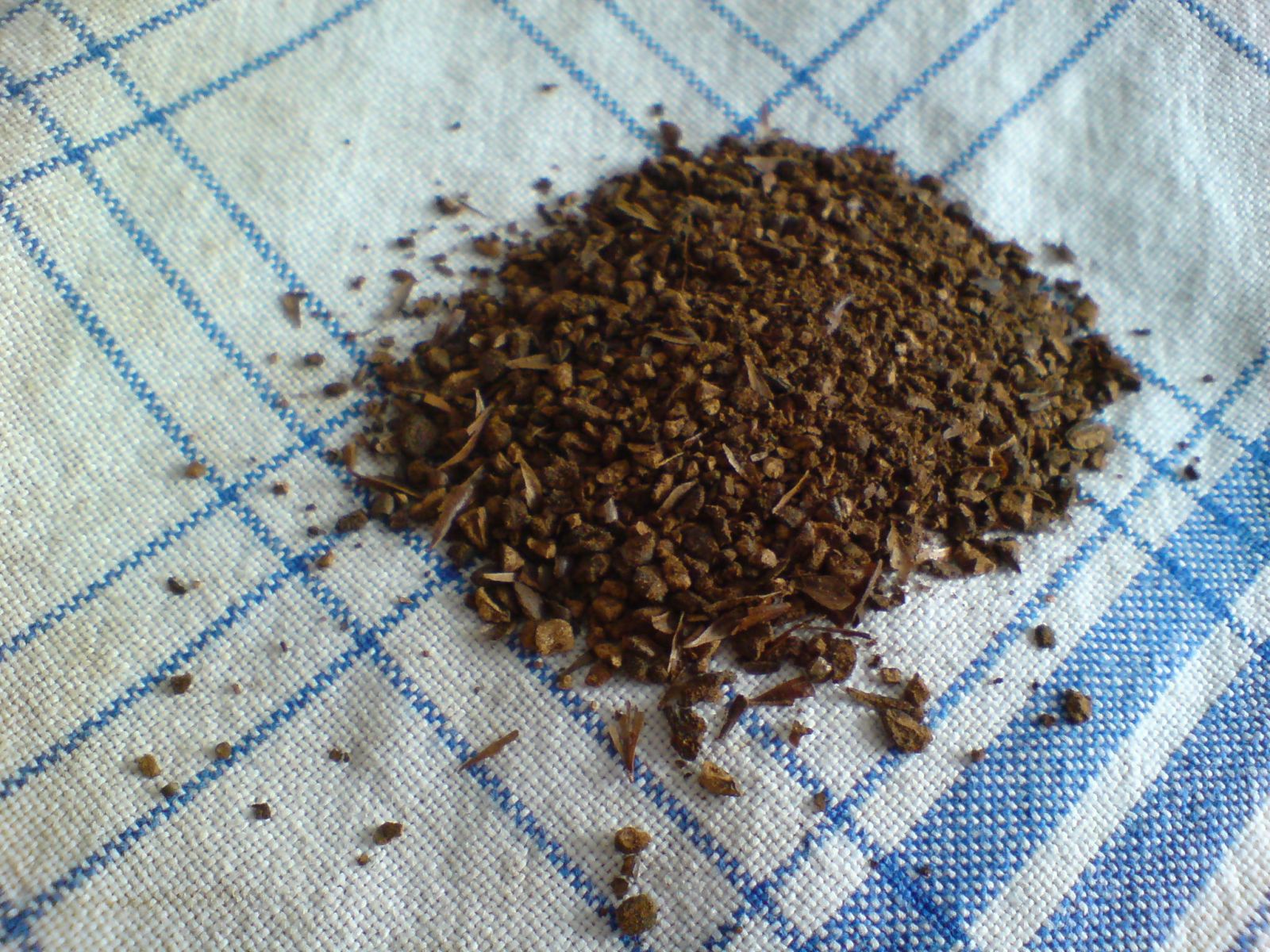 кафе цикория