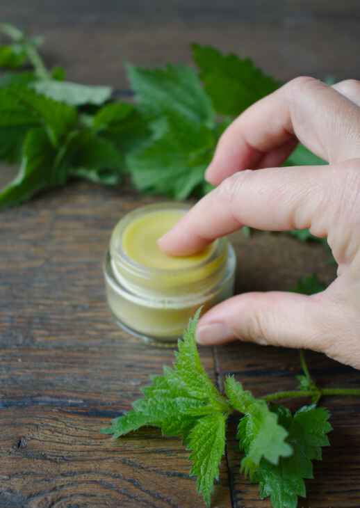 маз от коприва