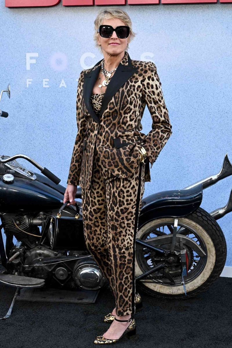  Шарън Стоун ослепителен костюм 