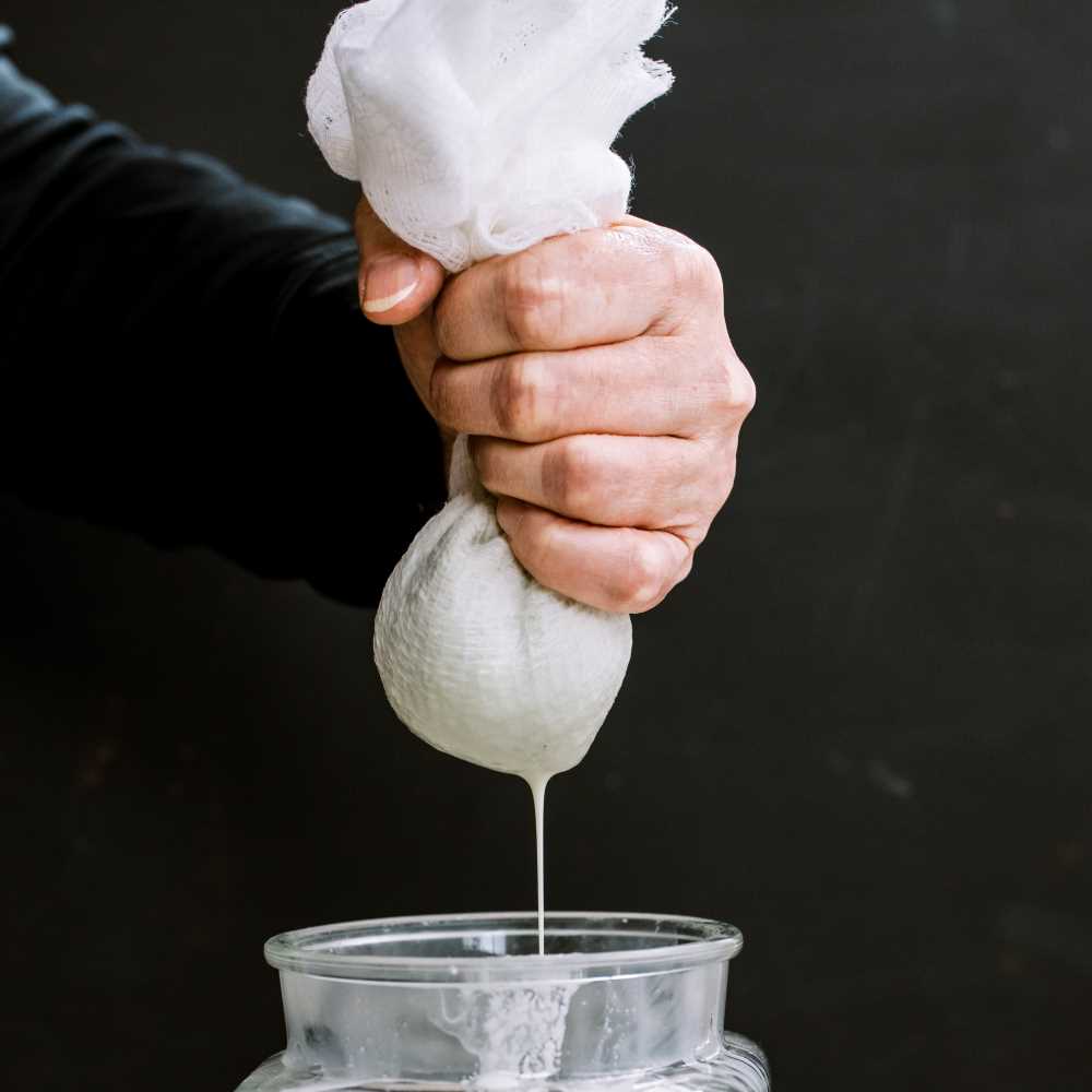pumpkin seed milk