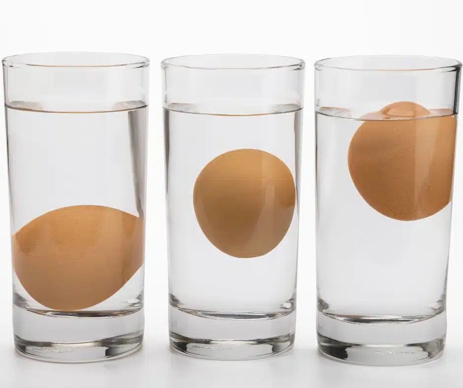 тест свежест яйца