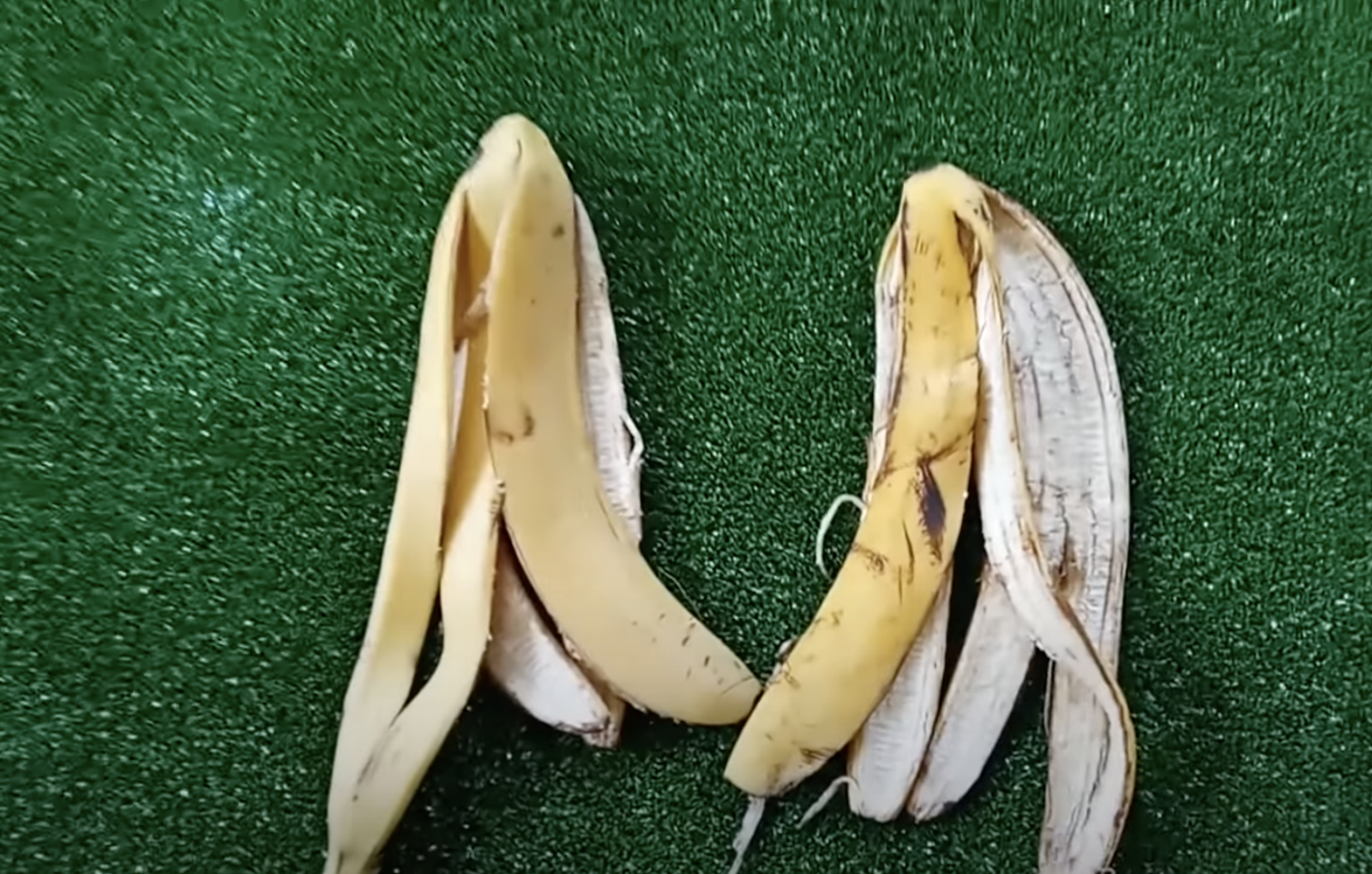 бананова кора