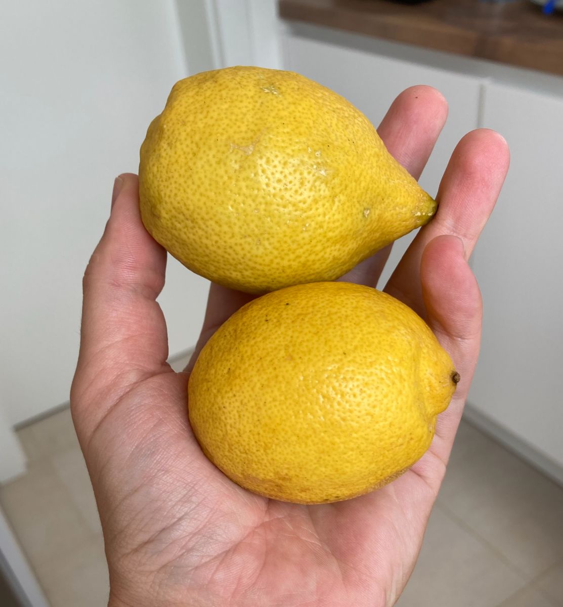 лимони