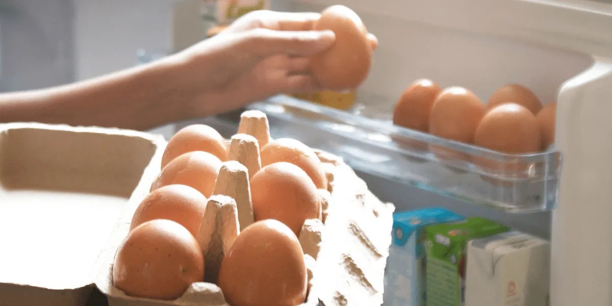 keep eggs