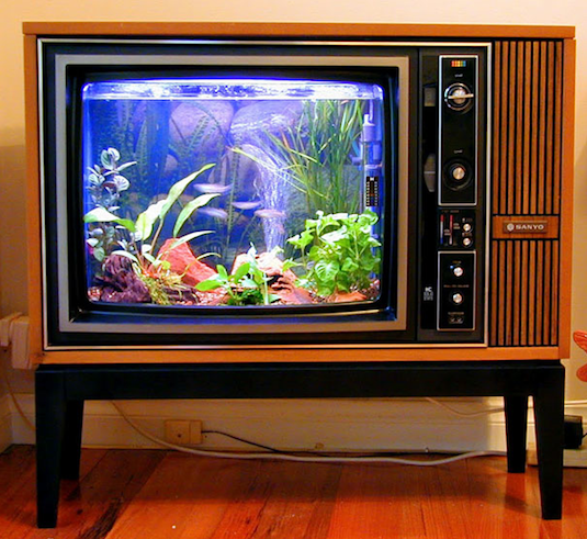 Стар телевизор, превърнат в аквариум