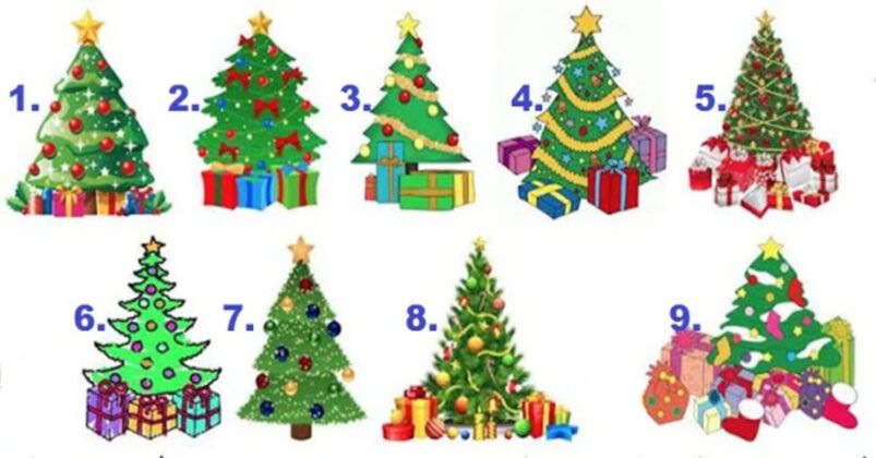  коледни елхи 