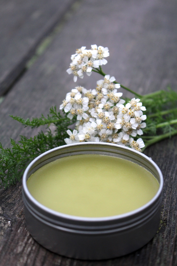 yarrow salve
