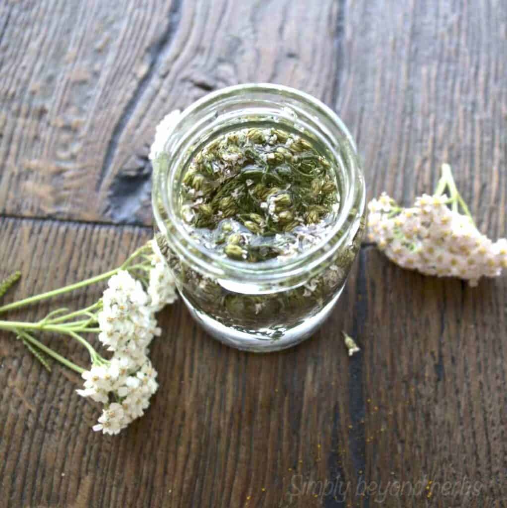 масло от равнец