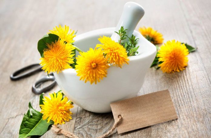 букет глухарчета