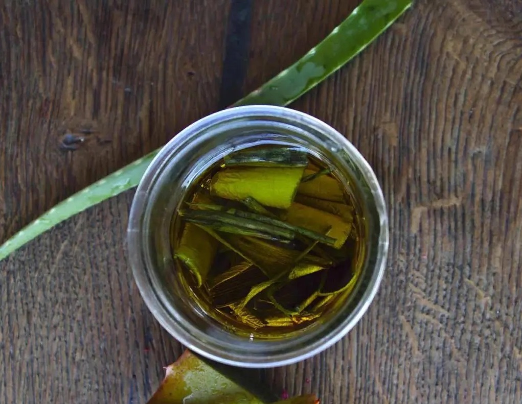 bay leaf oil