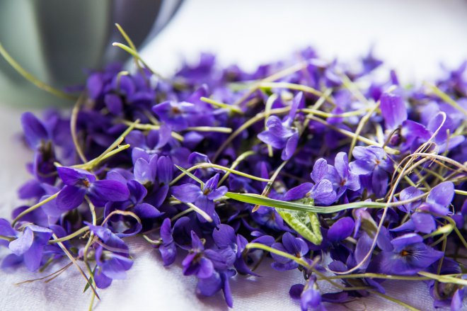 горски теменужки букет