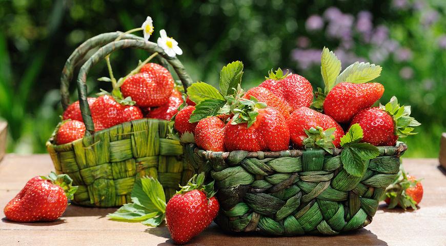 как да изберем ягоди