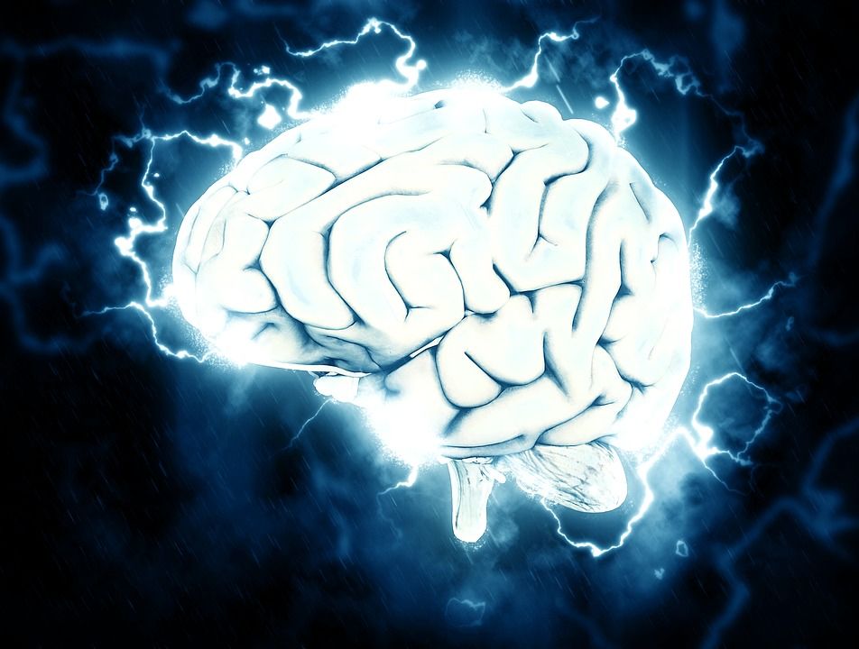 мозъкът на човек
