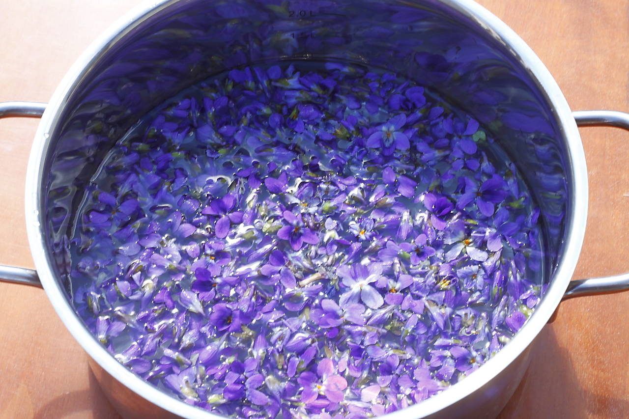 теменужки във вода