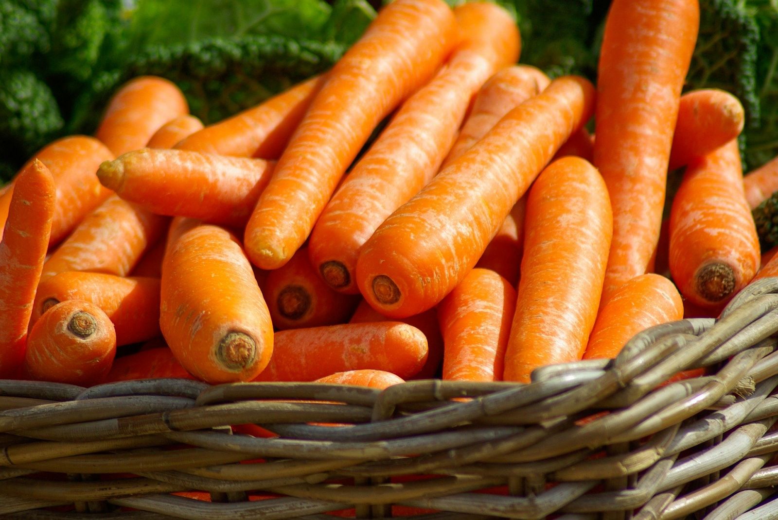 кошница с моркови