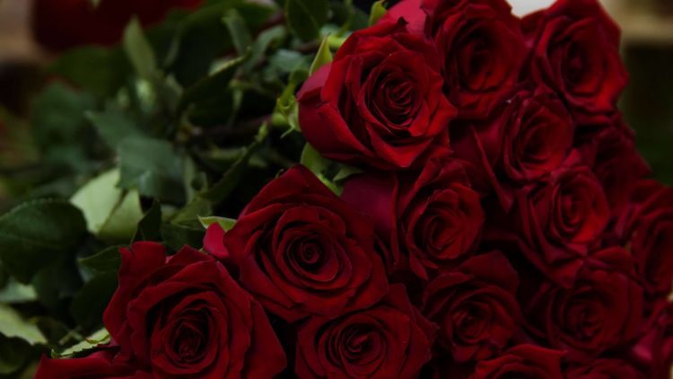 букет червени рози