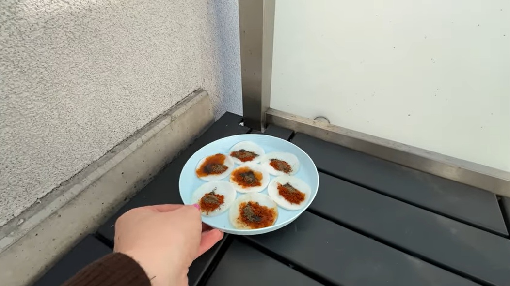 памуци с оцет срещу мишки