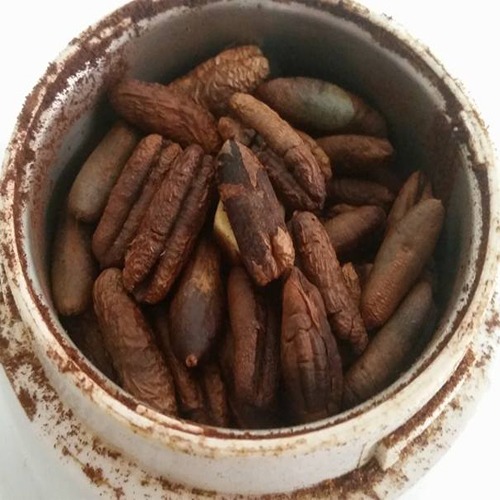 костилки от фурми печени